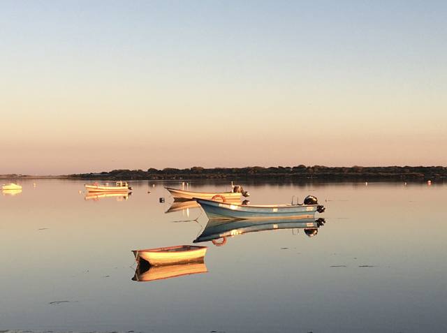 Boats on Ria Formosa at evening.jpg
